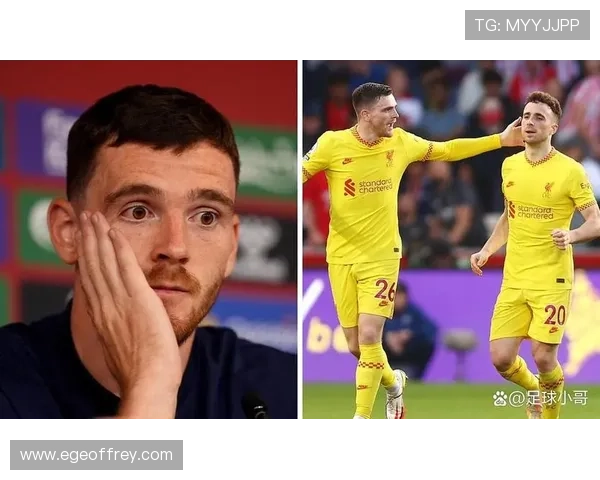 苏格兰罗伯逊左闸