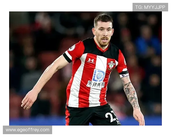 霍伊别尔本赛季球队贡献显著，攻防两端表现稳健